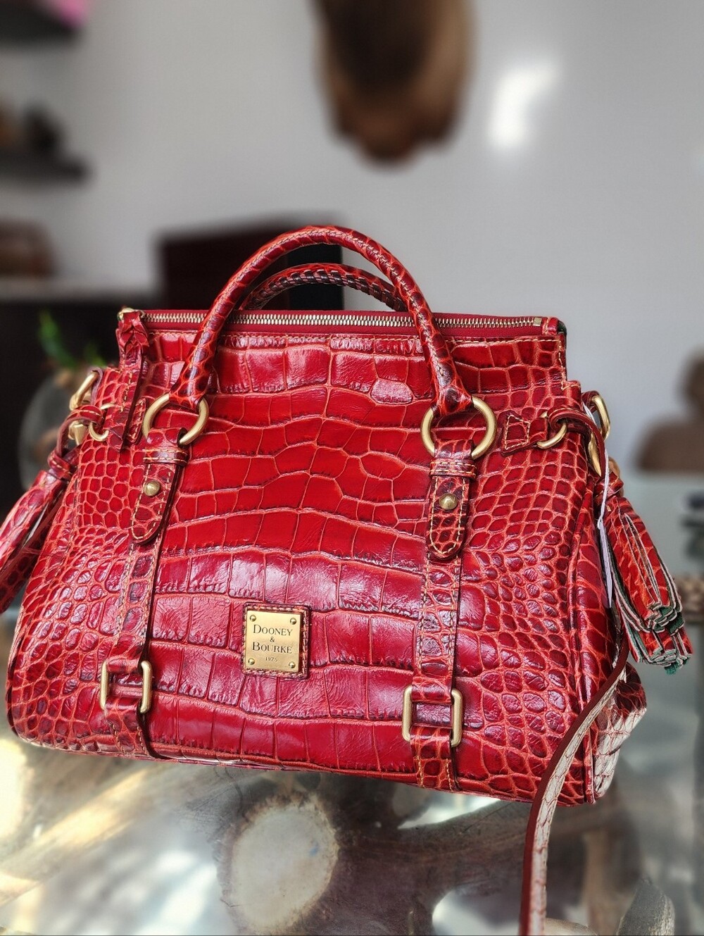 Dooney & Bourke Red Croc-Embossed Leather Satchel